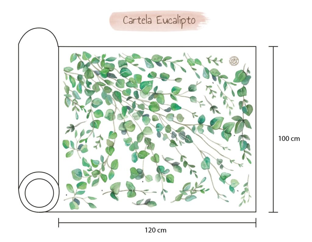 cartela-eucalipto-1024x793